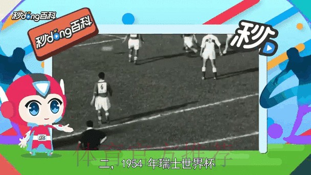 官方世界杯比分最新动态分析