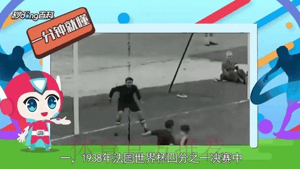 官方世界杯比分最新动态分析