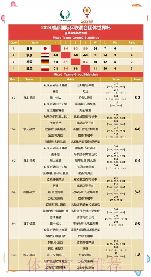 深度分析与世界杯赛果预测指南